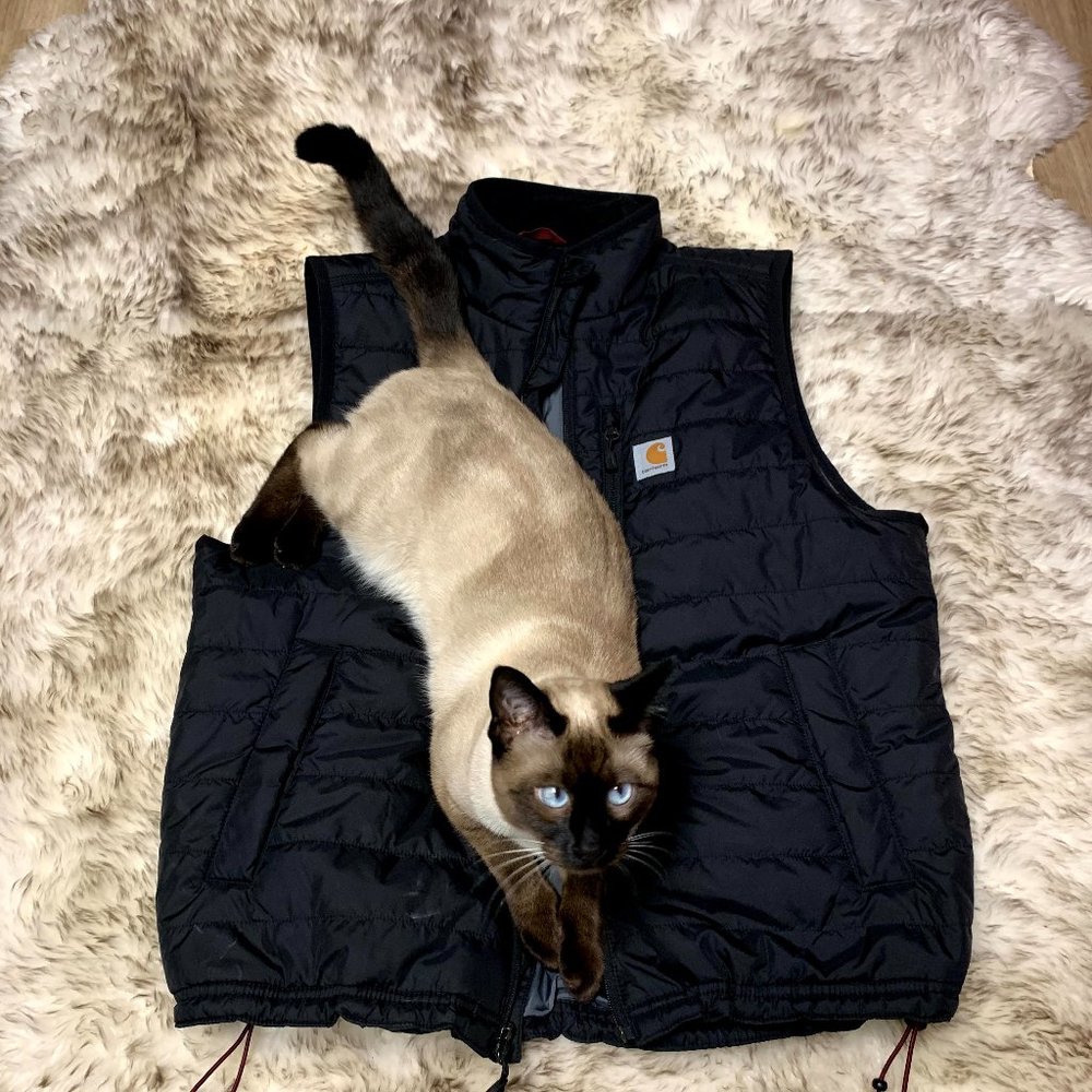 Carhartt vest
